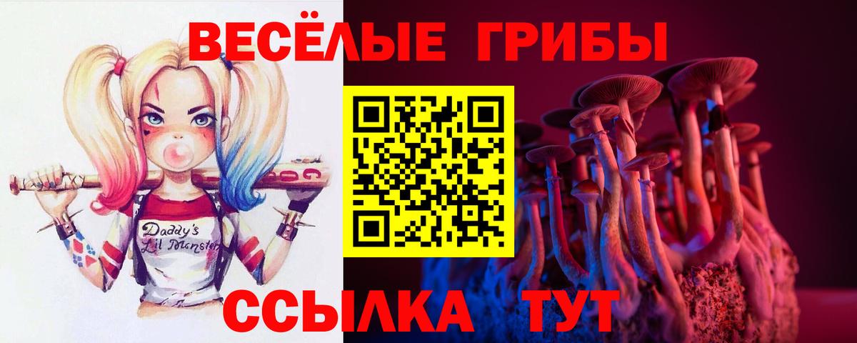 Галлюциногенные грибы GOLDEN TEACHER Ахтубинск