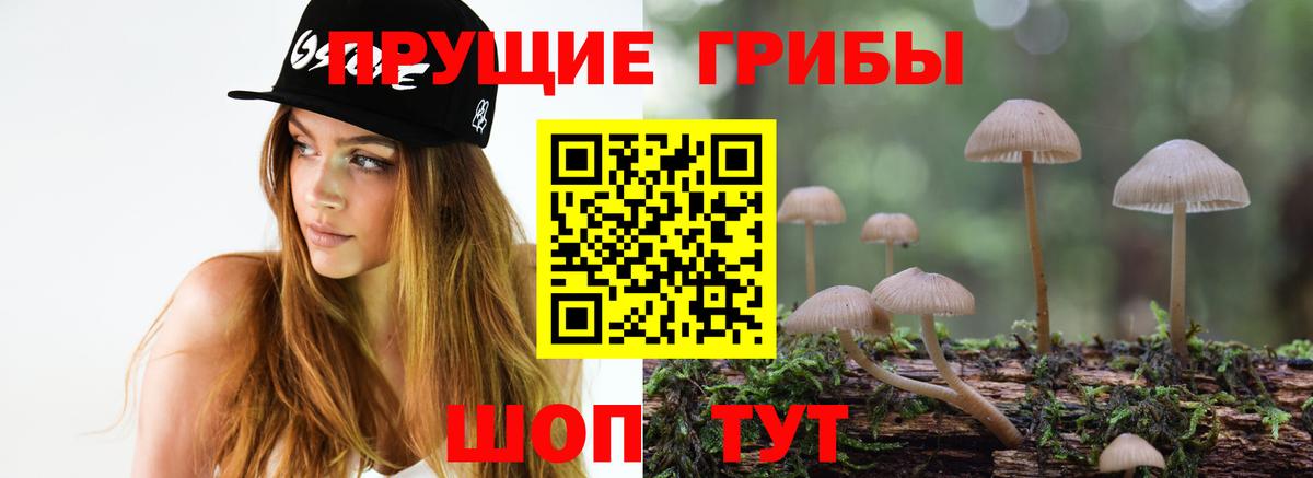 хочу   Вход с VPN  Ахтубинск  Галлюциногенные грибы ЛСД 