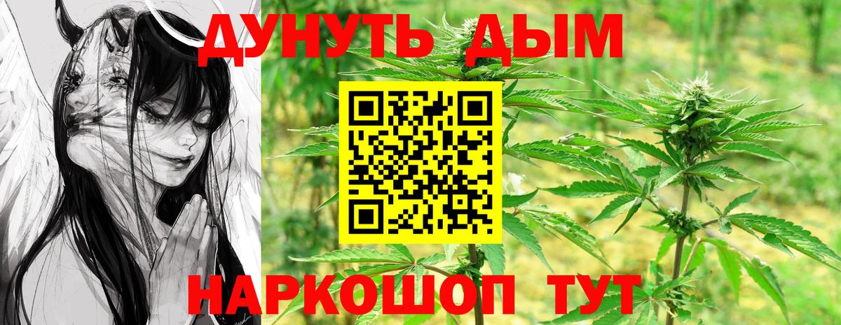 Марихуана планчик  Вход с VPN  Ахтубинск  Каннабис планчик  Бошки марихуана ГИДРОПОН 